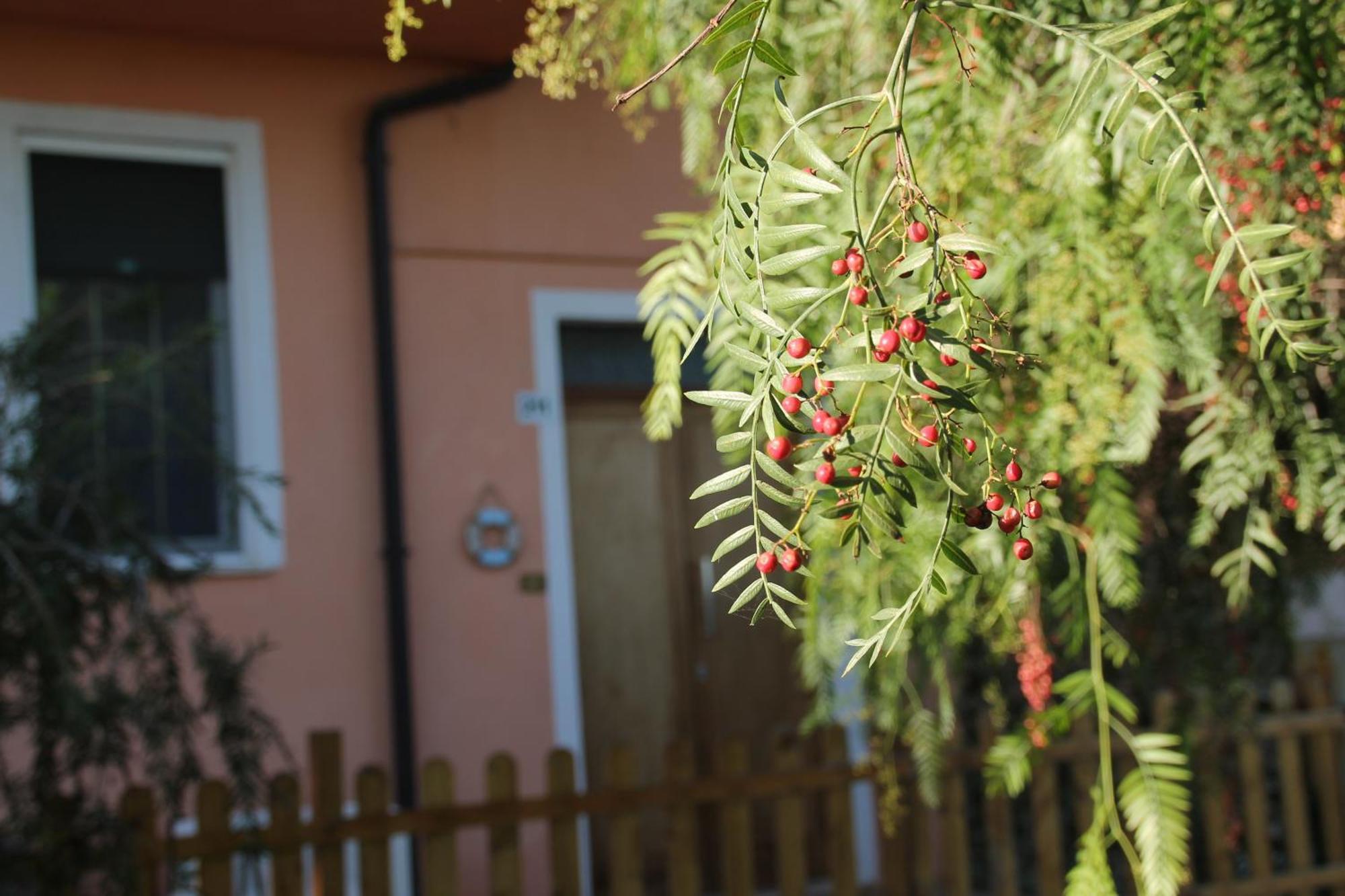 Bed and Breakfast Pepe Rosa à Termoli Extérieur photo