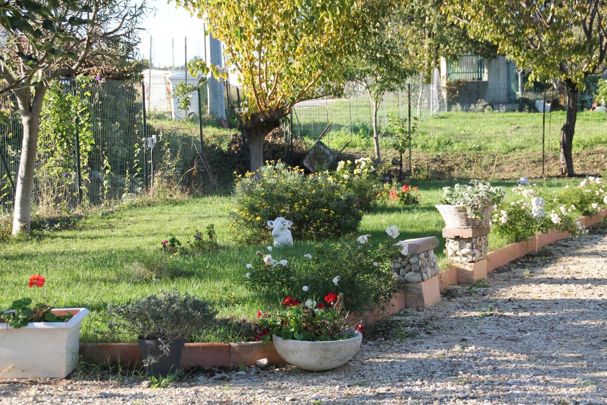 Bed and Breakfast Pepe Rosa à Termoli Extérieur photo